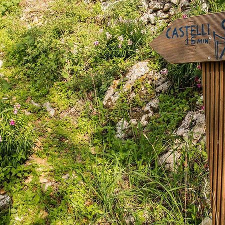 Castelli Olive Press Guest House Acharavi  Luaran gambar