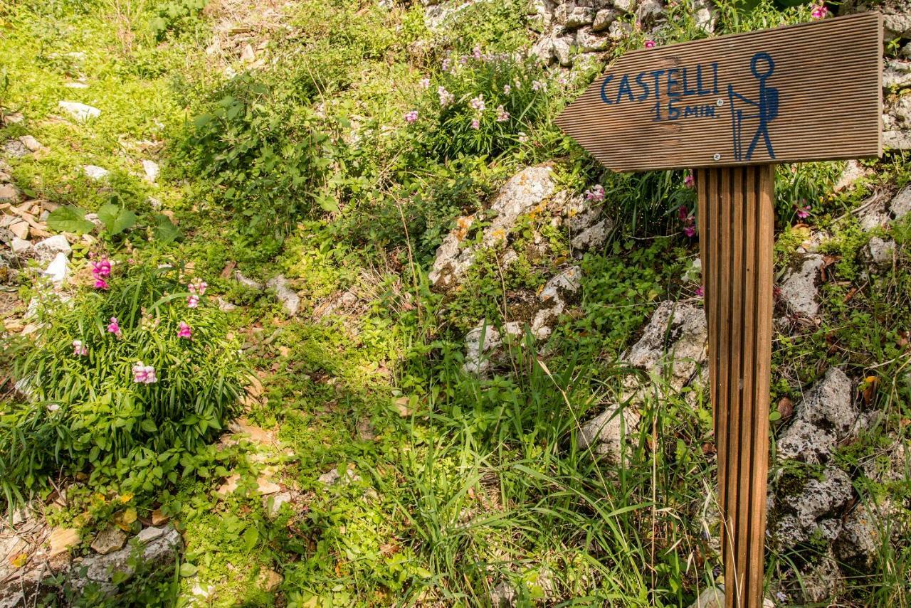 Castelli Olive Press Guest House Acharavi  Luaran gambar