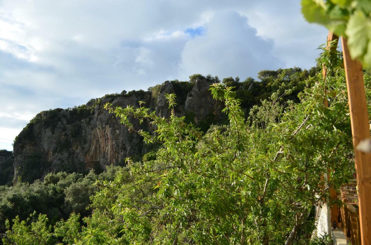 Castelli Olive Press Guest House Acharavi  Luaran gambar